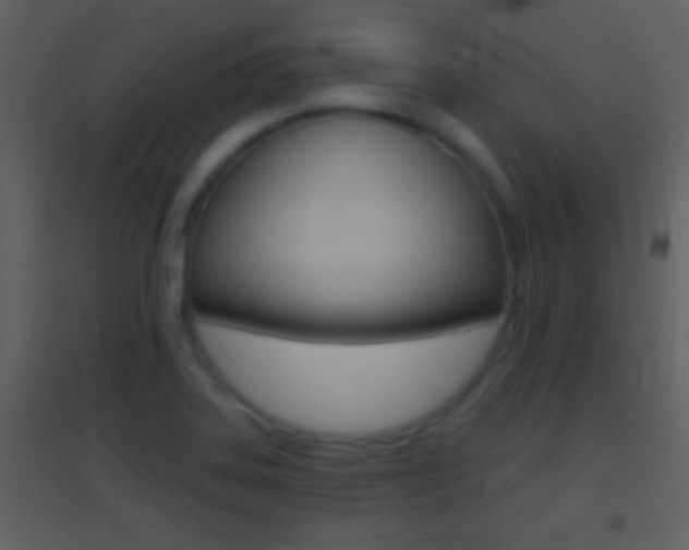 X0000095531323200712140925
