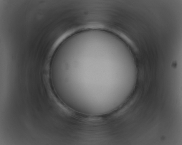 X0000095531325200712140925