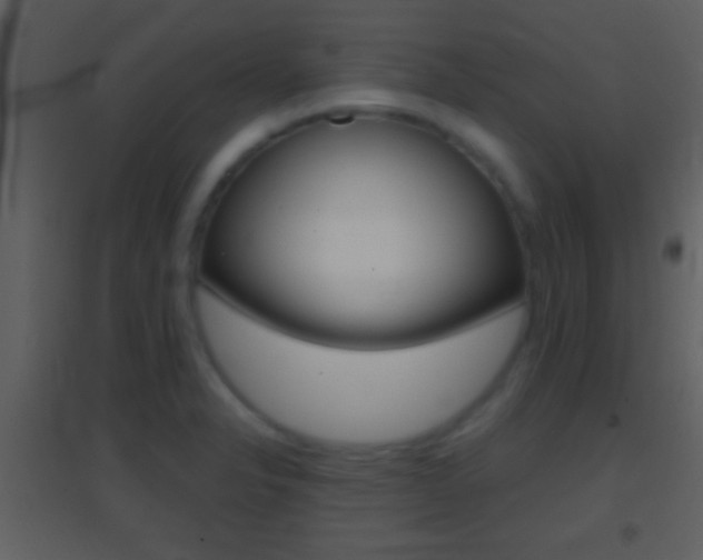 X0000095531326200712140925