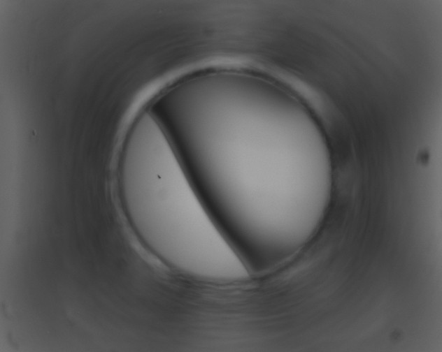 X0000095531327200712140925