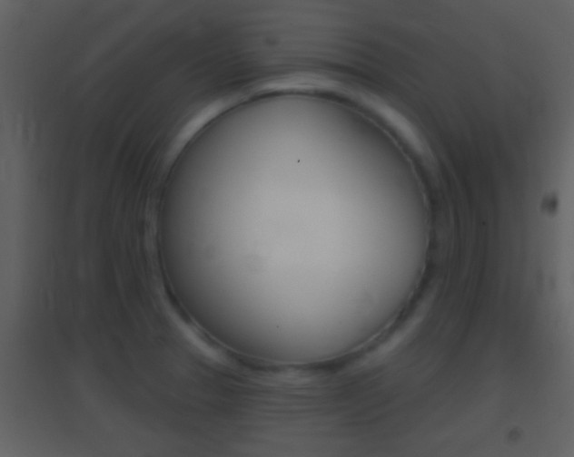 X0000095531329200712140925
