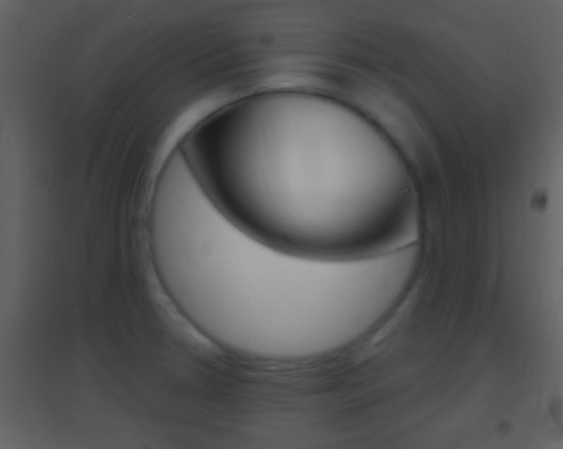 X0000095531330200712140925