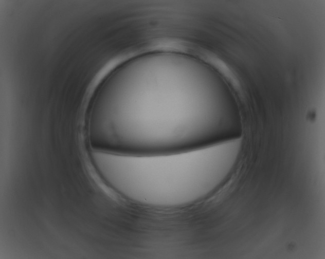 X0000095531331200712140925