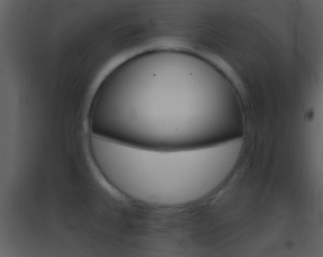 X0000095531335200712140925