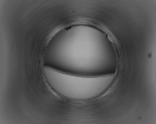 X0000095531337200712140925