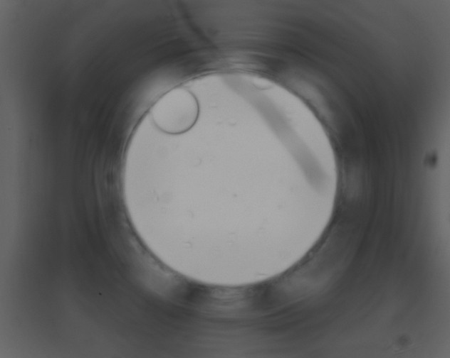 X0000095531338200712140925