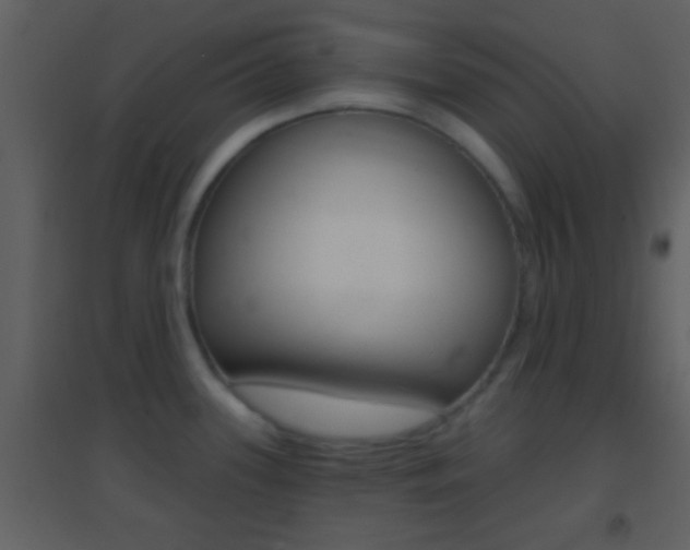 X0000095531339200712140925