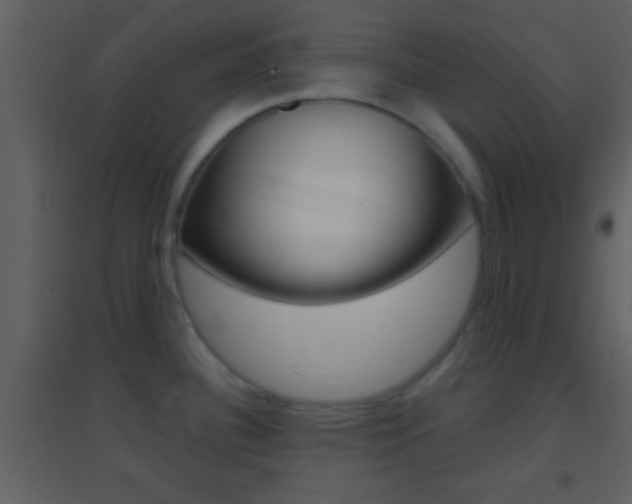 X0000095531340200712140925
