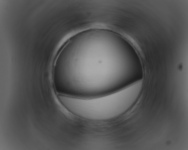 X0000095531342200712140925