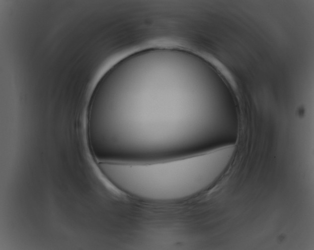 X0000095531343200712140925