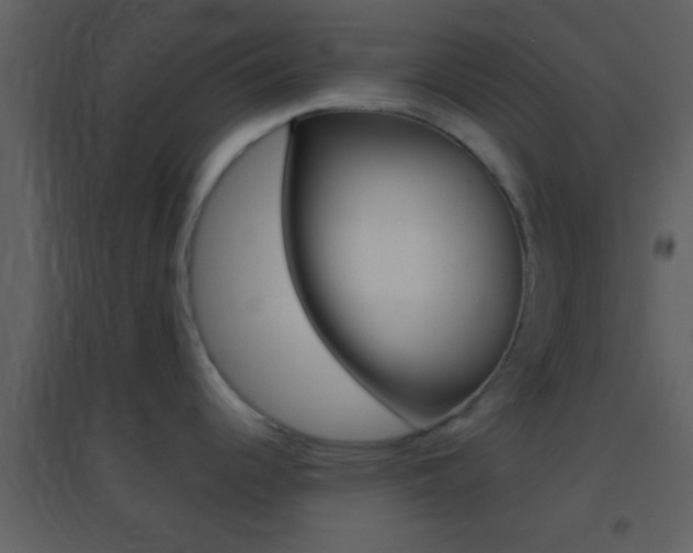 X0000095531344200712140925