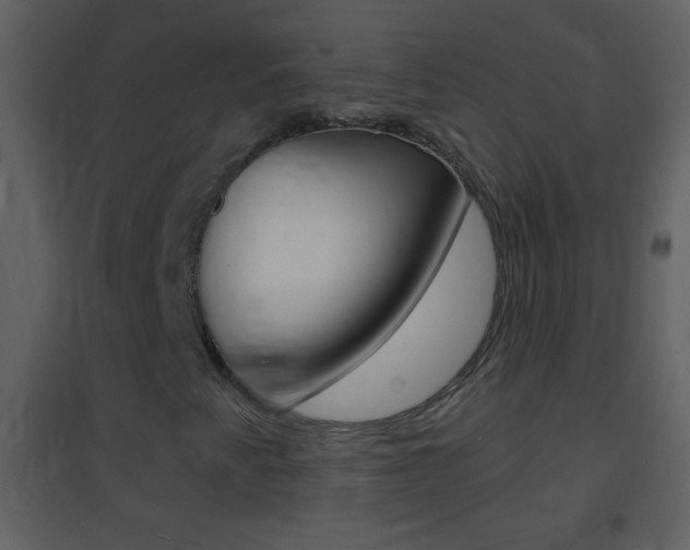 X0000095531345200712140925