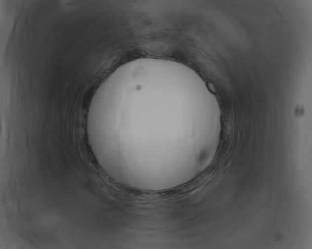 X0000095531346200712140925