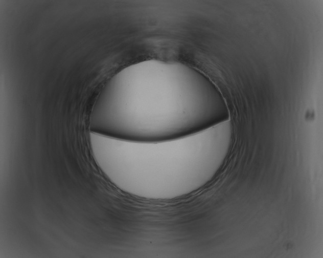 X0000095531347200712140925