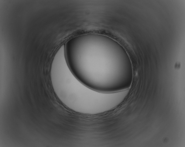 X0000095531348200712140925