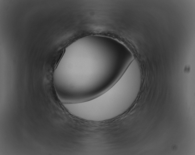 X0000095531349200712140925