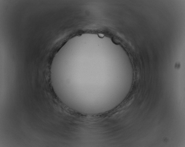 X0000095531350200712140925
