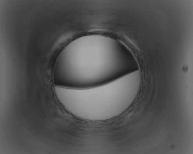 X0000095531351200712140925