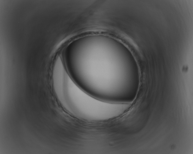 X0000095531352200712140925