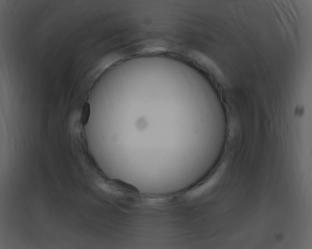 X0000095531353200712140925