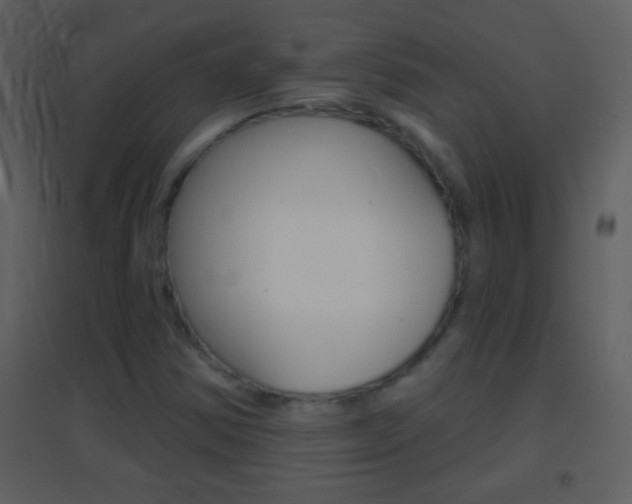 X0000095531354200712140925