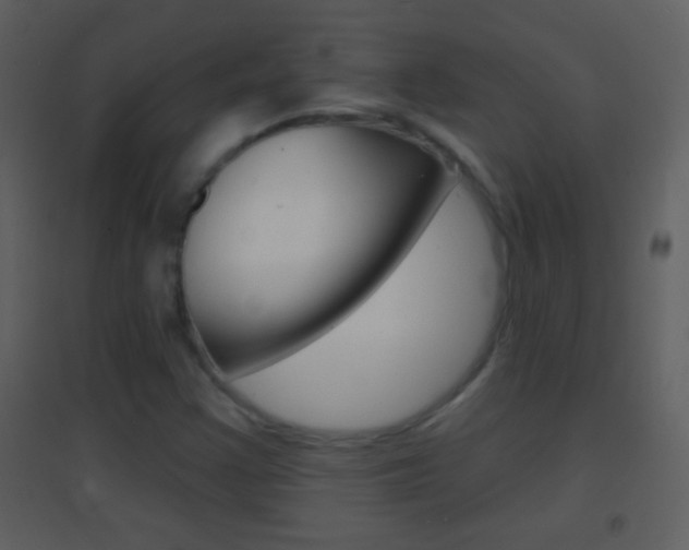 X0000095531355200712140925