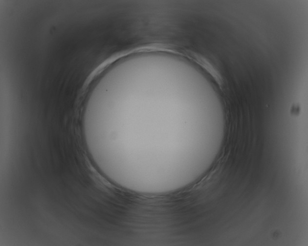 X0000095531356200712140925