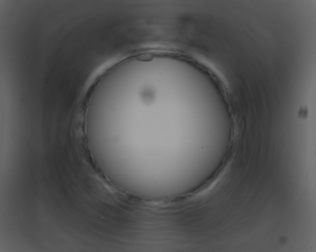 X0000095531357200712140925