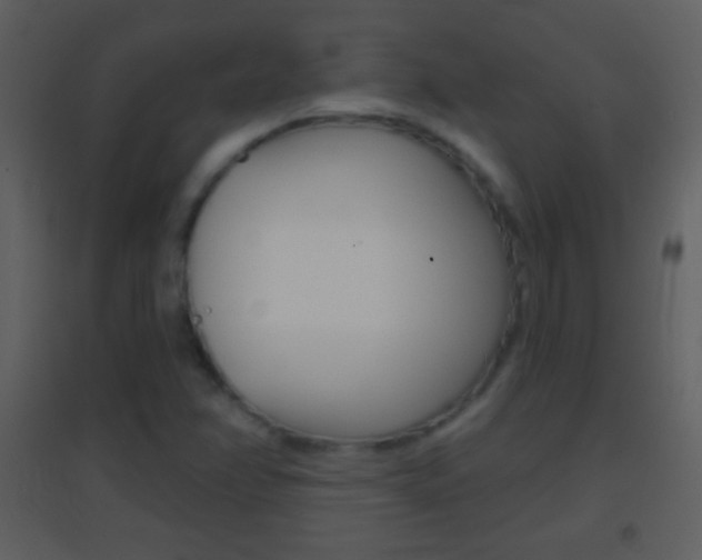 X0000095531358200712140925