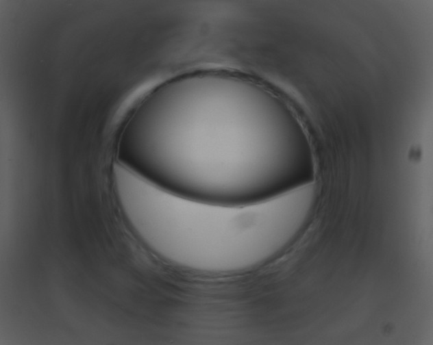 X0000095531359200712140925