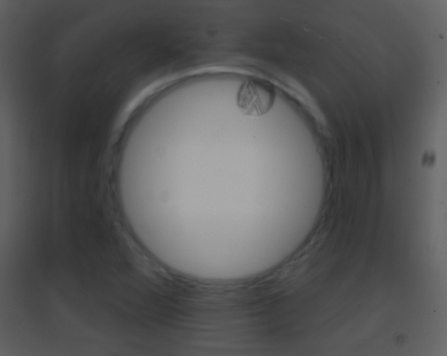 X0000095531360200712140925