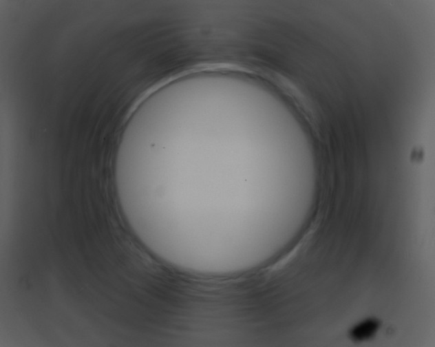 X0000095531361200712140925