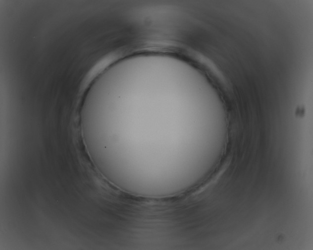 X0000095531362200712140925