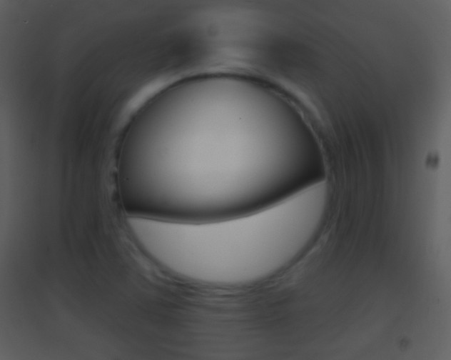X0000095531363200712140925