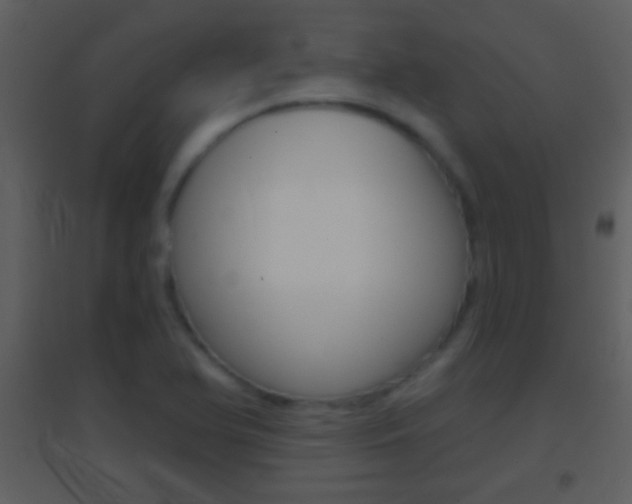 X0000095531366200712140924