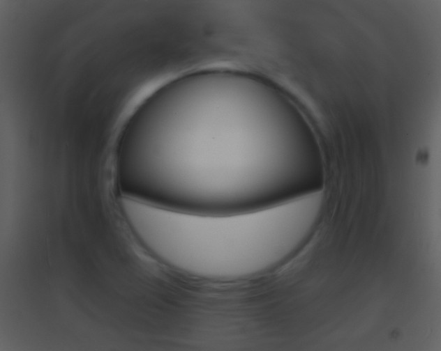 X0000095531367200712140924