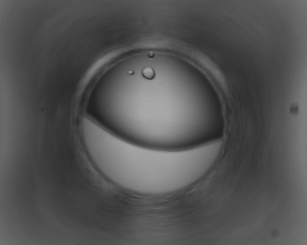 X0000095531368200712140924