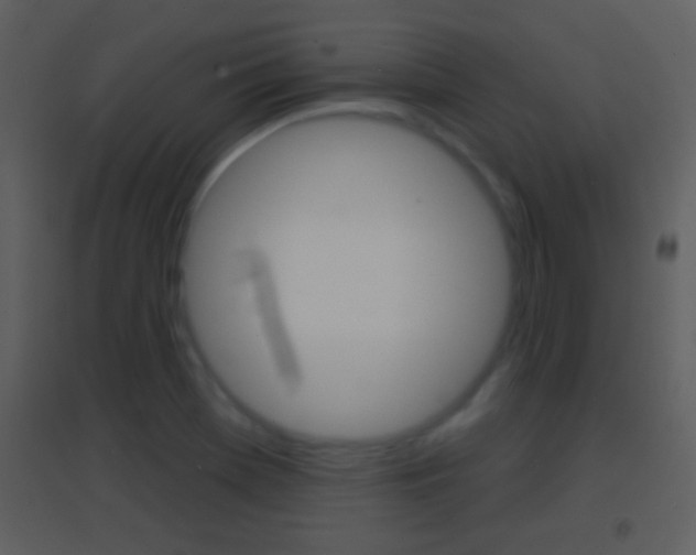 X0000095531369200712140924