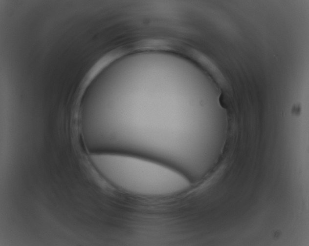 X0000095531370200712140924