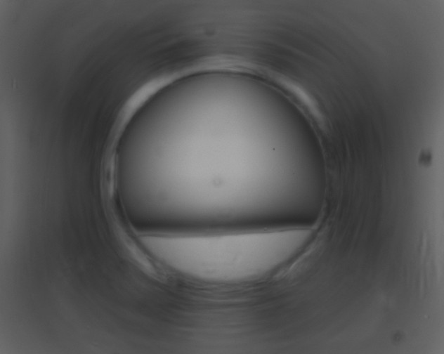 X0000095531371200712140924