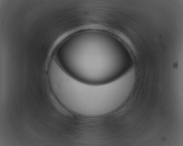 X0000095531372200712140924
