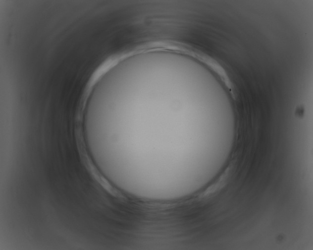 X0000095531373200712140924