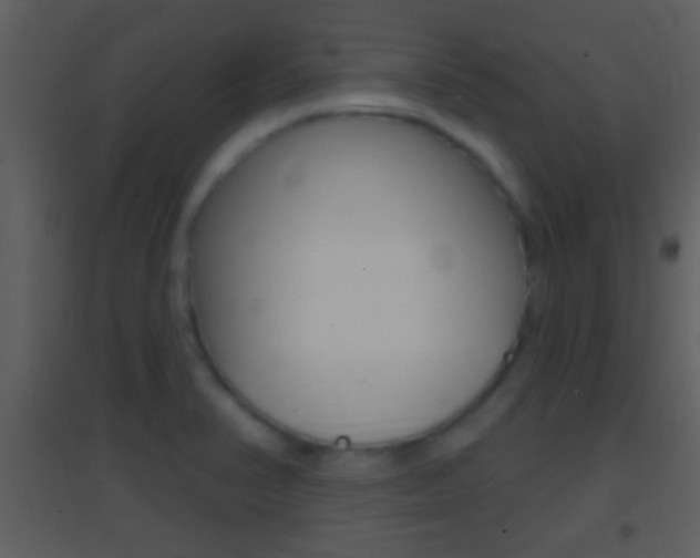 X0000095531374200712140924