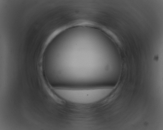 X0000095531375200712140924