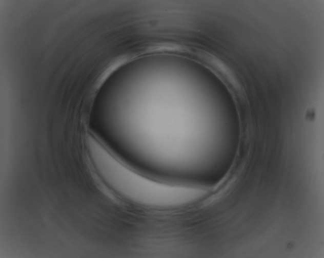X0000095531377200712140924