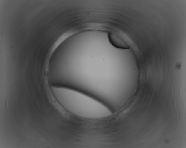 X0000095531378200712140924