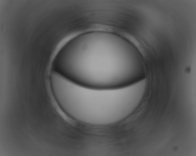 X0000095531379200712140924