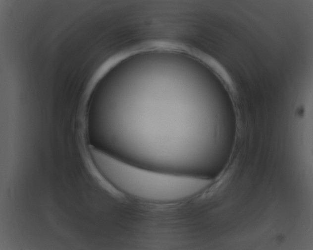 X0000095531381200712140924