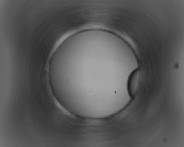 X0000095531382200712140924