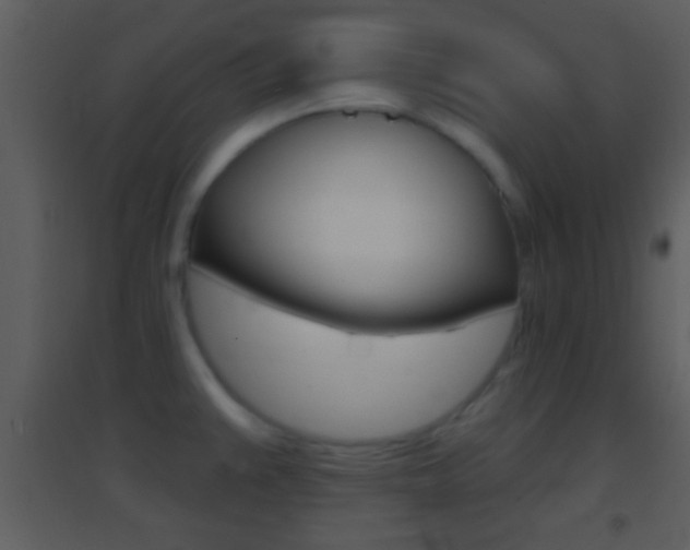 X0000095531383200712140924